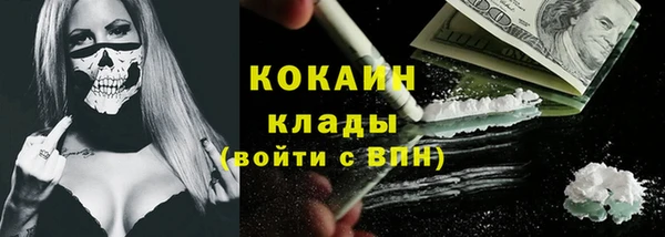 молекула духа Новозыбков